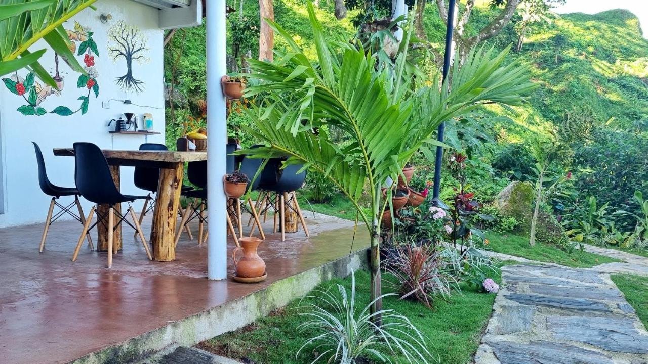 Minca Sintropia - Sustainable Lodge & Organic Coffee Finca Eksteriør bilde