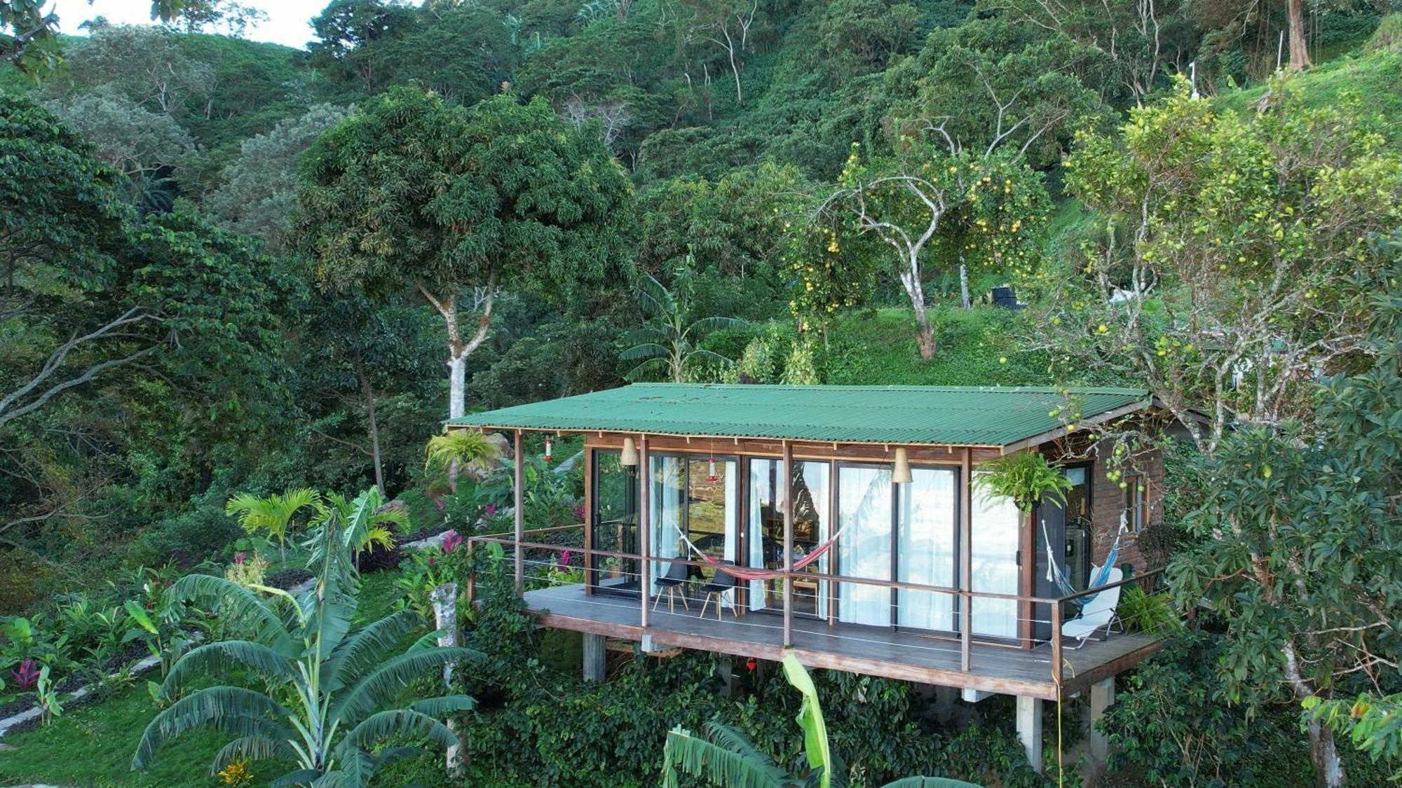 Minca Sintropia - Sustainable Lodge & Organic Coffee Finca Eksteriør bilde