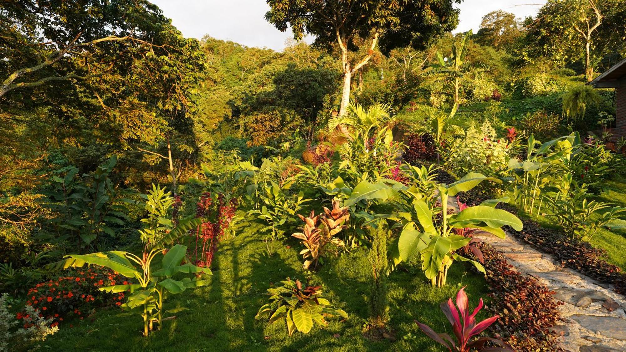 Minca Sintropia - Sustainable Lodge & Organic Coffee Finca Eksteriør bilde