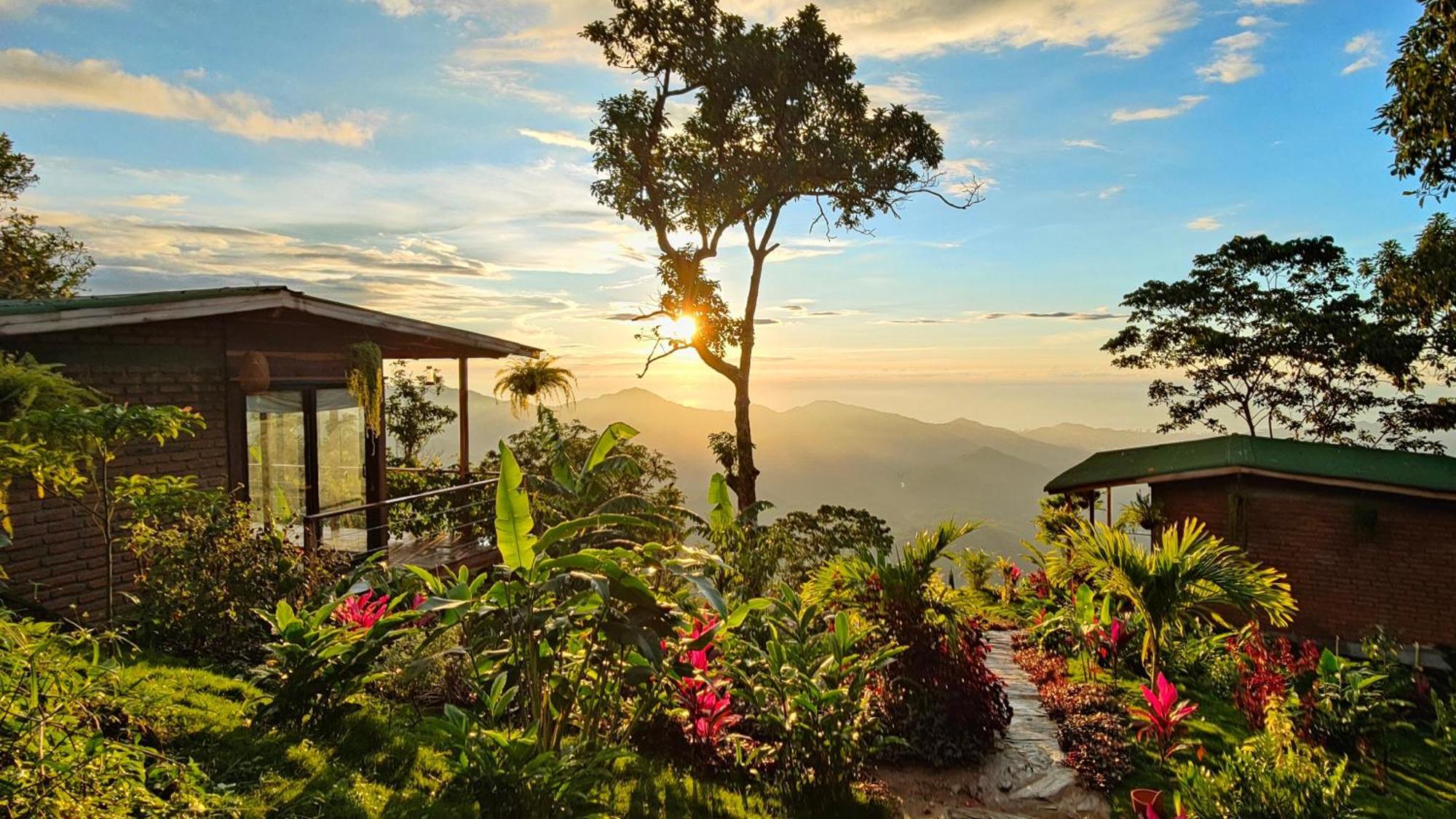 Minca Sintropia - Sustainable Lodge & Organic Coffee Finca Eksteriør bilde