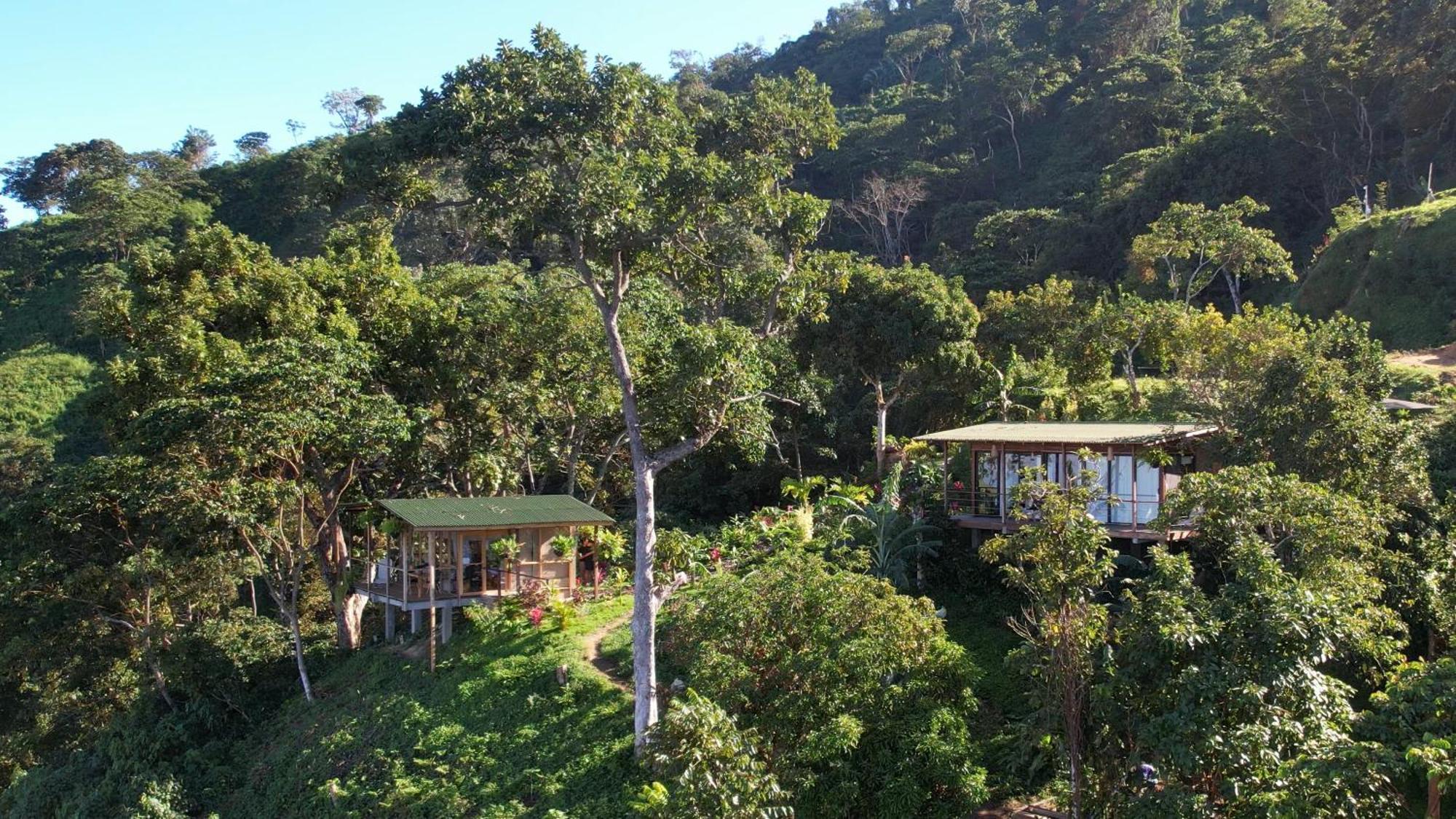 Minca Sintropia - Sustainable Lodge & Organic Coffee Finca Eksteriør bilde