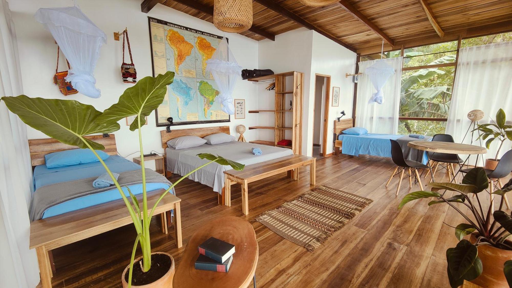 Minca Sintropia - Sustainable Lodge & Organic Coffee Finca Eksteriør bilde