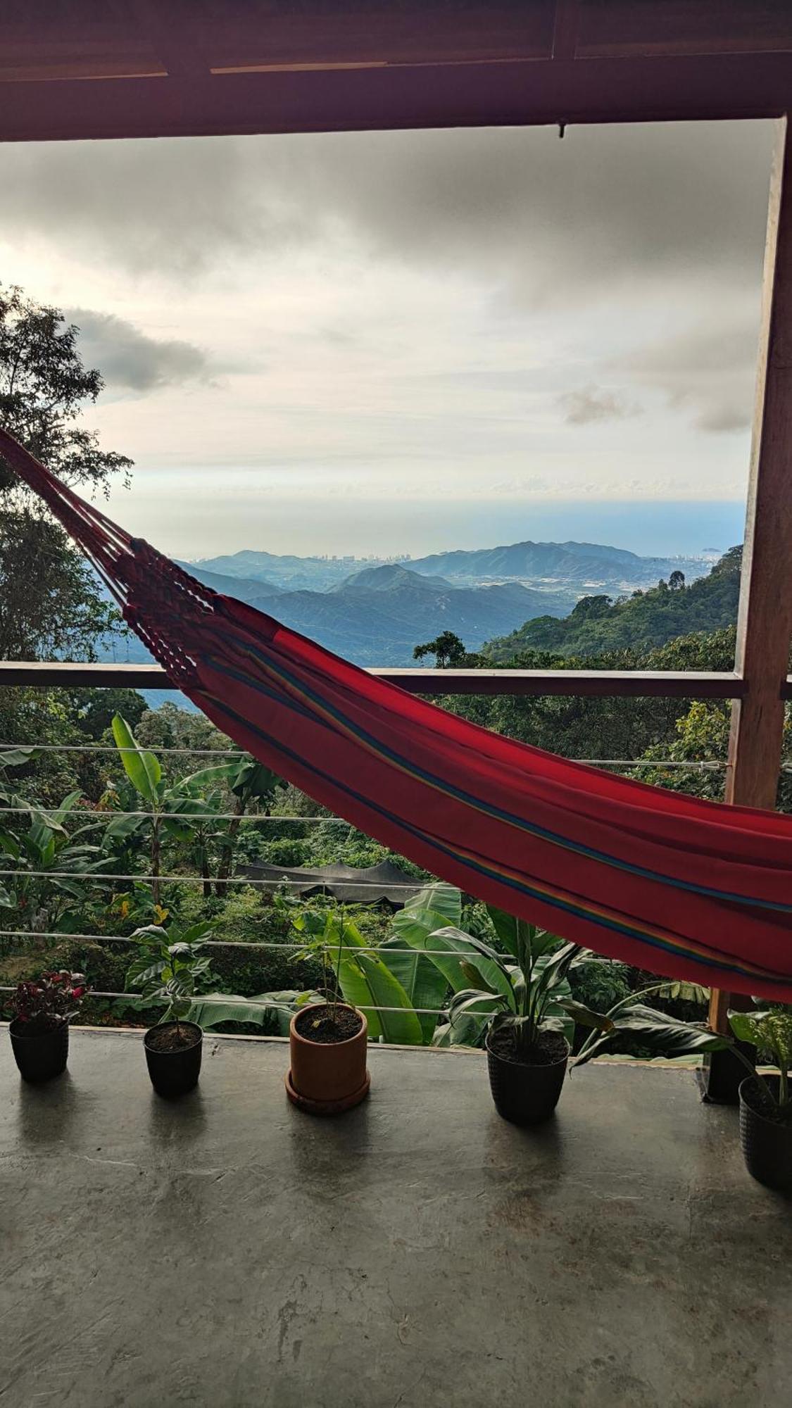 Minca Sintropia - Sustainable Lodge & Organic Coffee Finca Rom bilde