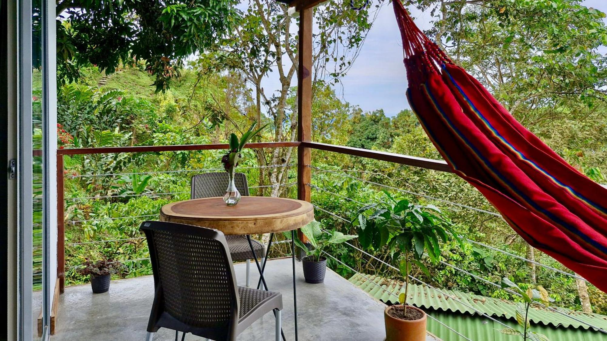 Minca Sintropia - Sustainable Lodge & Organic Coffee Finca Rom bilde