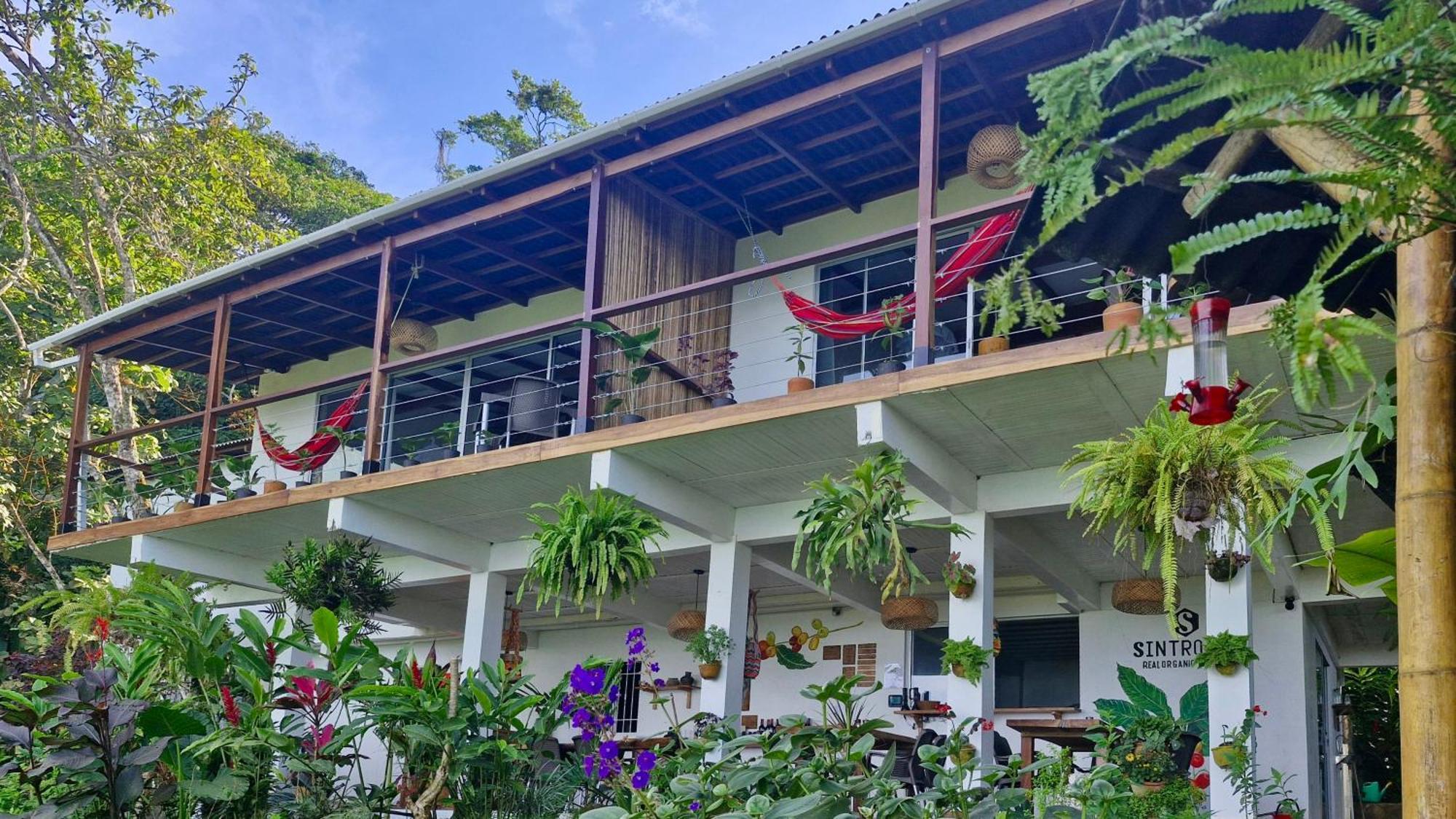 Minca Sintropia - Sustainable Lodge & Organic Coffee Finca Rom bilde