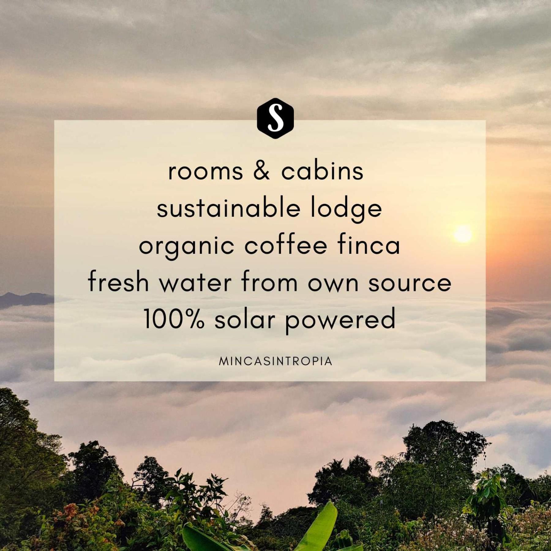 Minca Sintropia - Sustainable Lodge & Organic Coffee Finca Eksteriør bilde